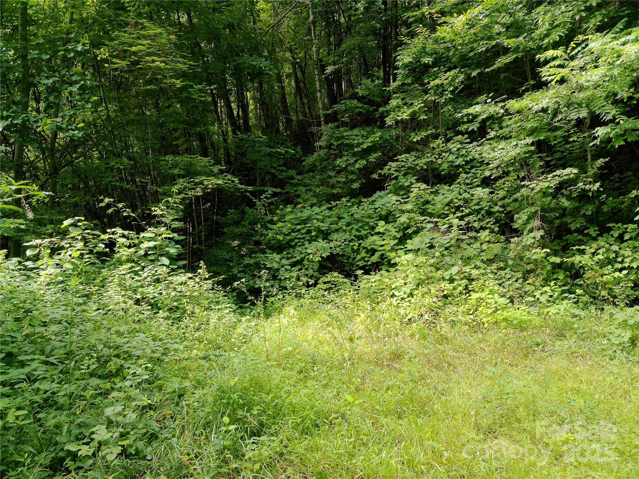 00 Yonah Trail Waynesville NC 28785
