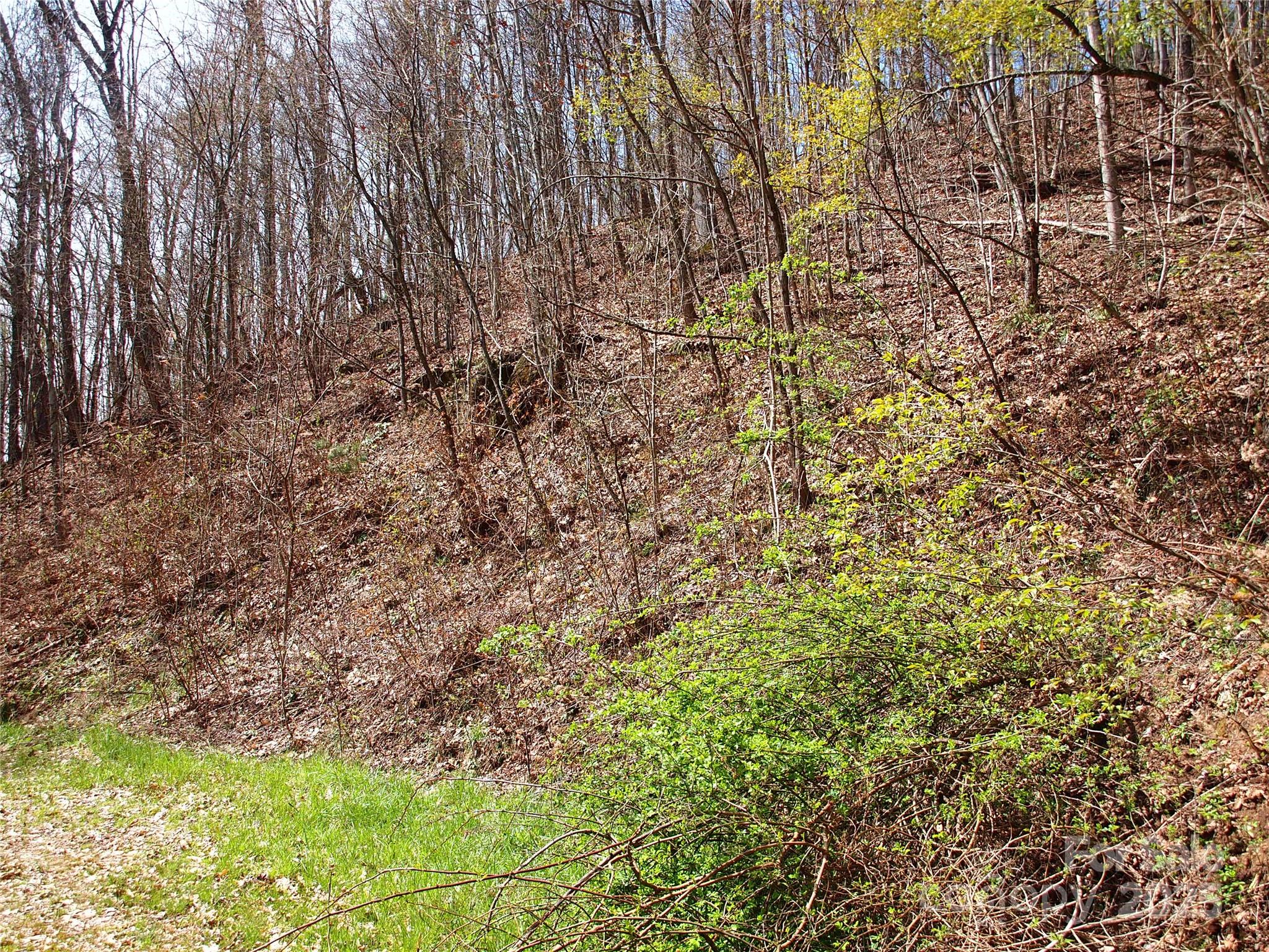 00 Yonah Trail Waynesville NC 28785