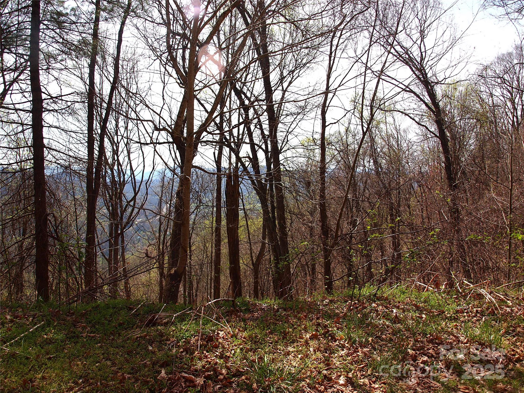 00 Yonah Trail Waynesville NC 28785