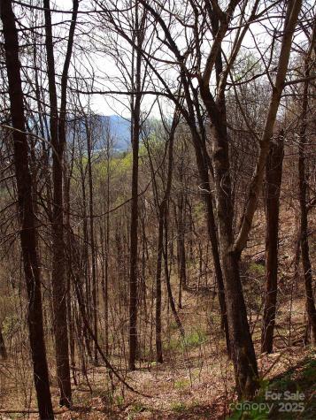 00 Yonah Trail Waynesville NC 28785