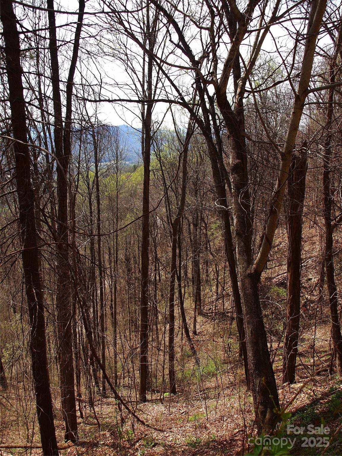 00 Yonah Trail Waynesville NC 28785