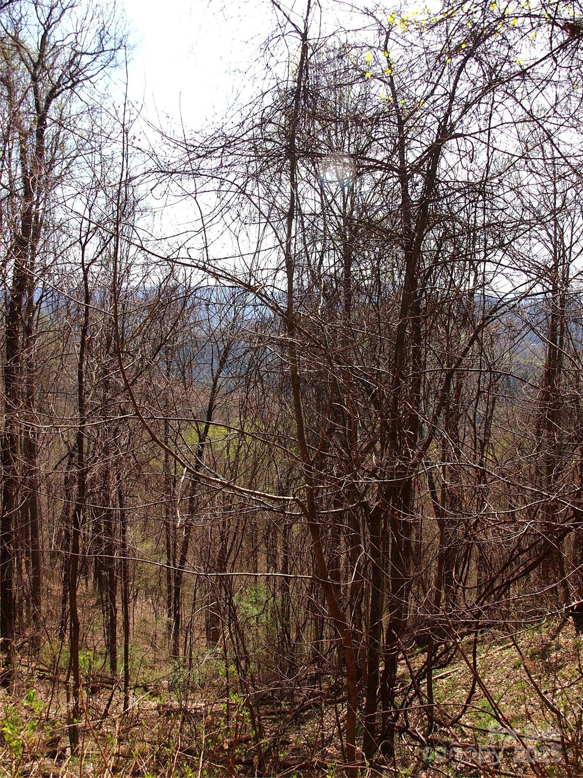 00 Yonah Trail Waynesville NC 28785