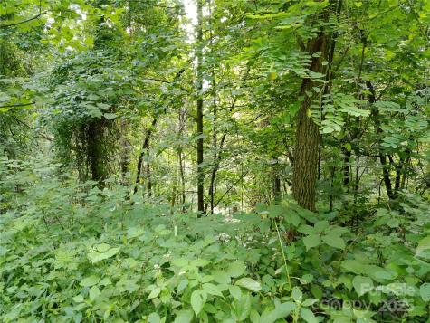 00 Yonah Trail Waynesville NC 28785