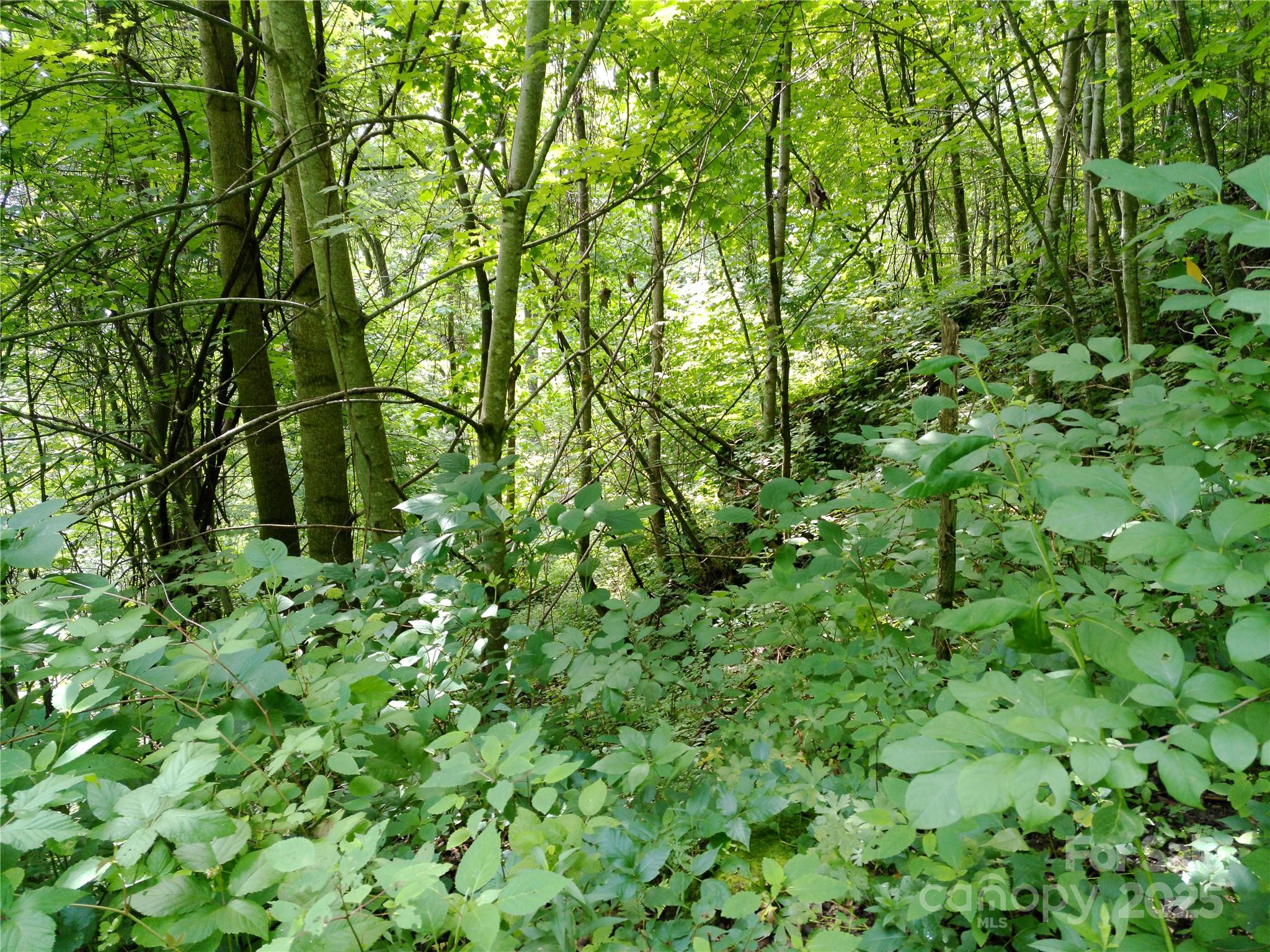 00 Yonah Trail Waynesville NC 28785