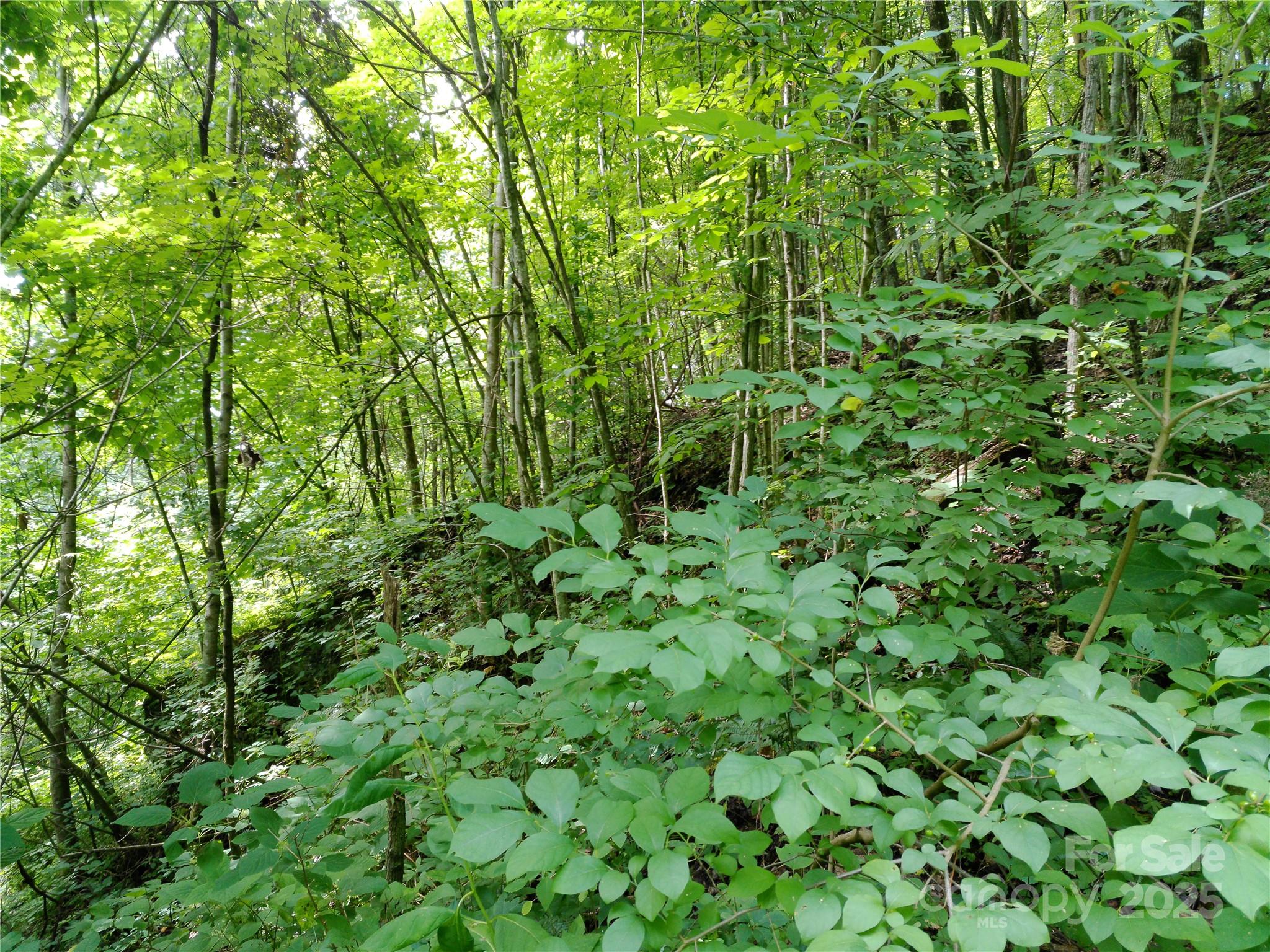 00 Yonah Trail Waynesville NC 28785