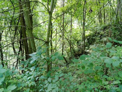 00 Yonah Trail Waynesville NC 28785