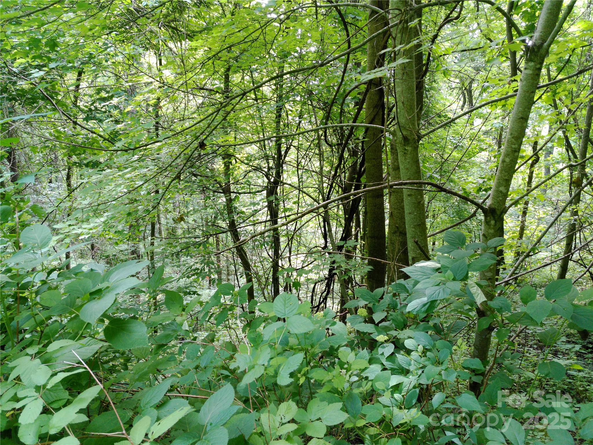 00 Yonah Trail Waynesville NC 28785