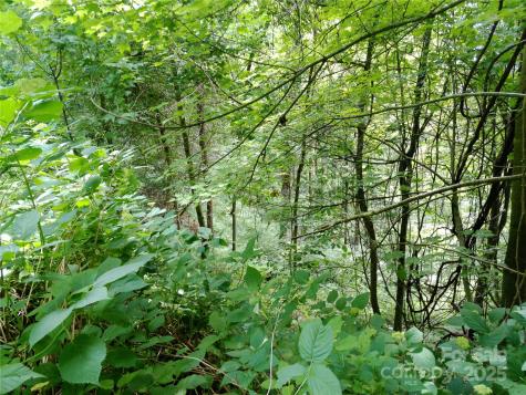 00 Yonah Trail Waynesville NC 28785