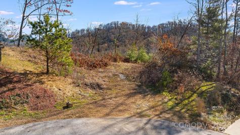 25 Briar Ridge Drive Fairview NC 28730