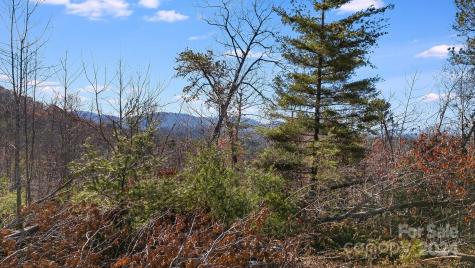 25 Briar Ridge Drive Fairview NC 28730