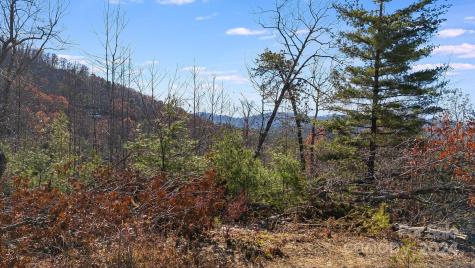 25 Briar Ridge Drive Fairview NC 28730