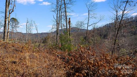 25 Briar Ridge Drive Fairview NC 28730