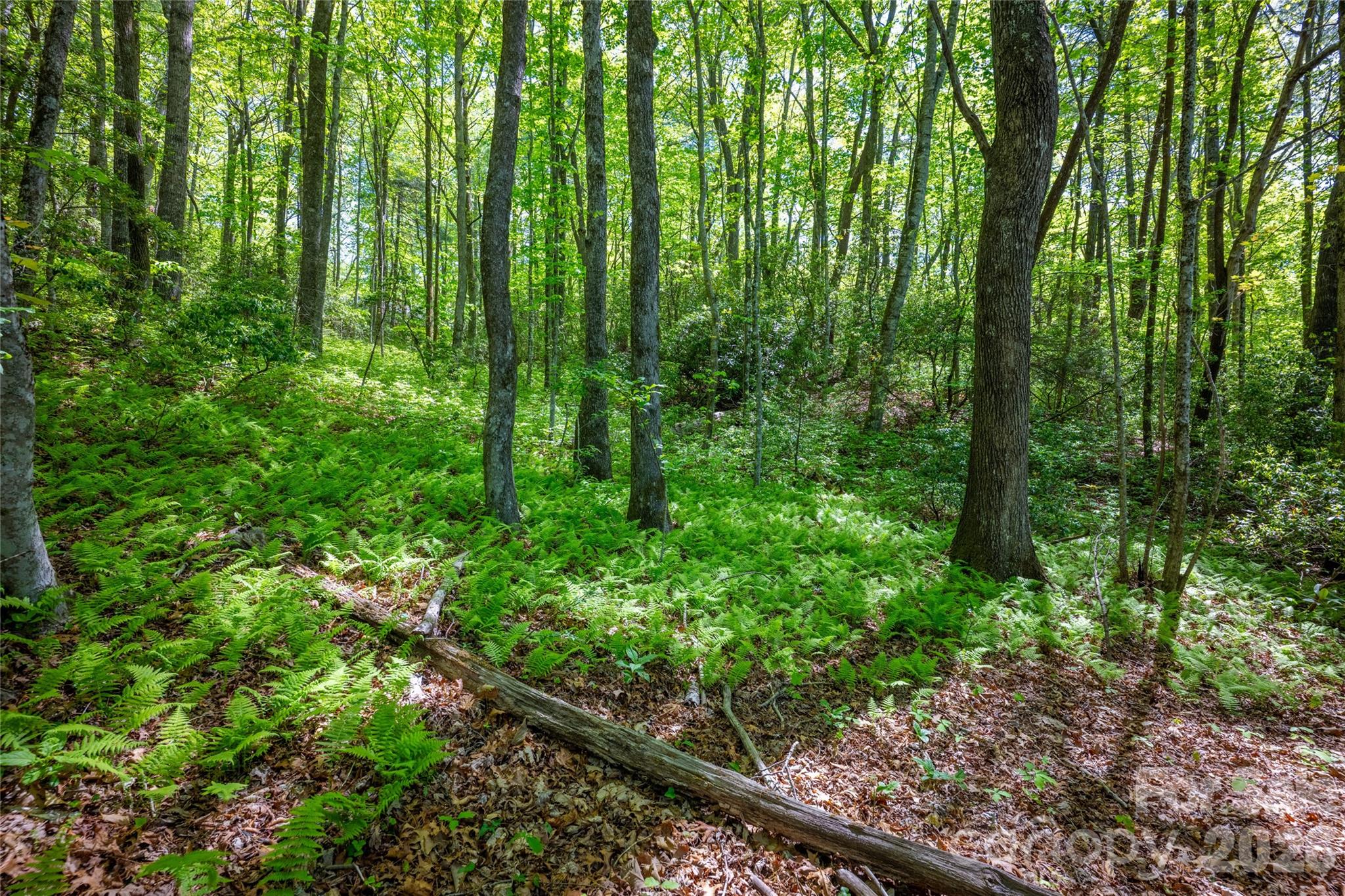 1923 Cold Mountain Road Lake Toxaway NC 28747