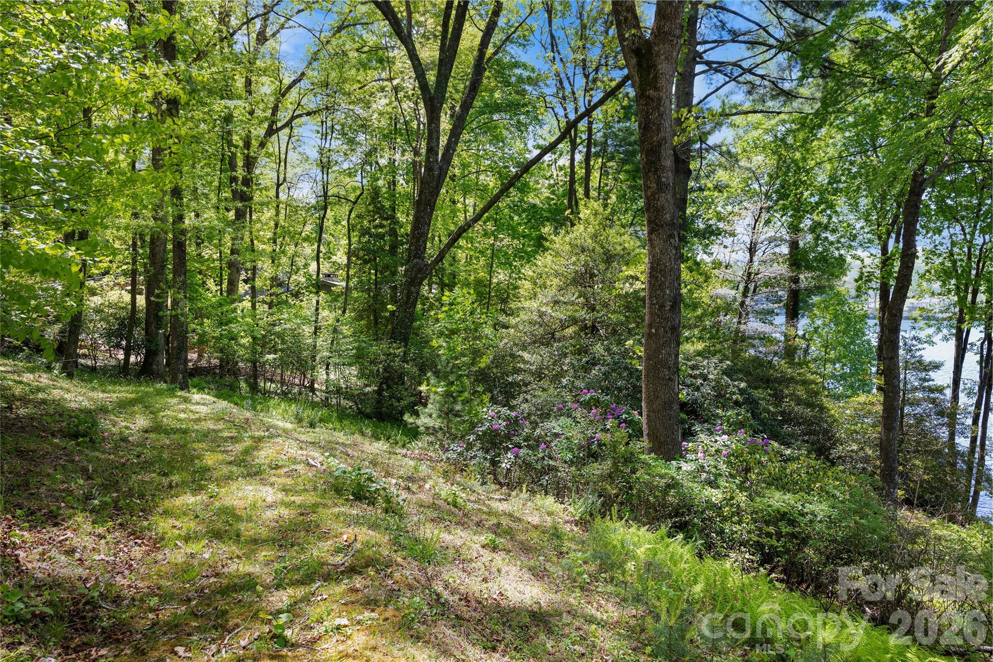 1923 Cold Mountain Road Lake Toxaway NC 28747