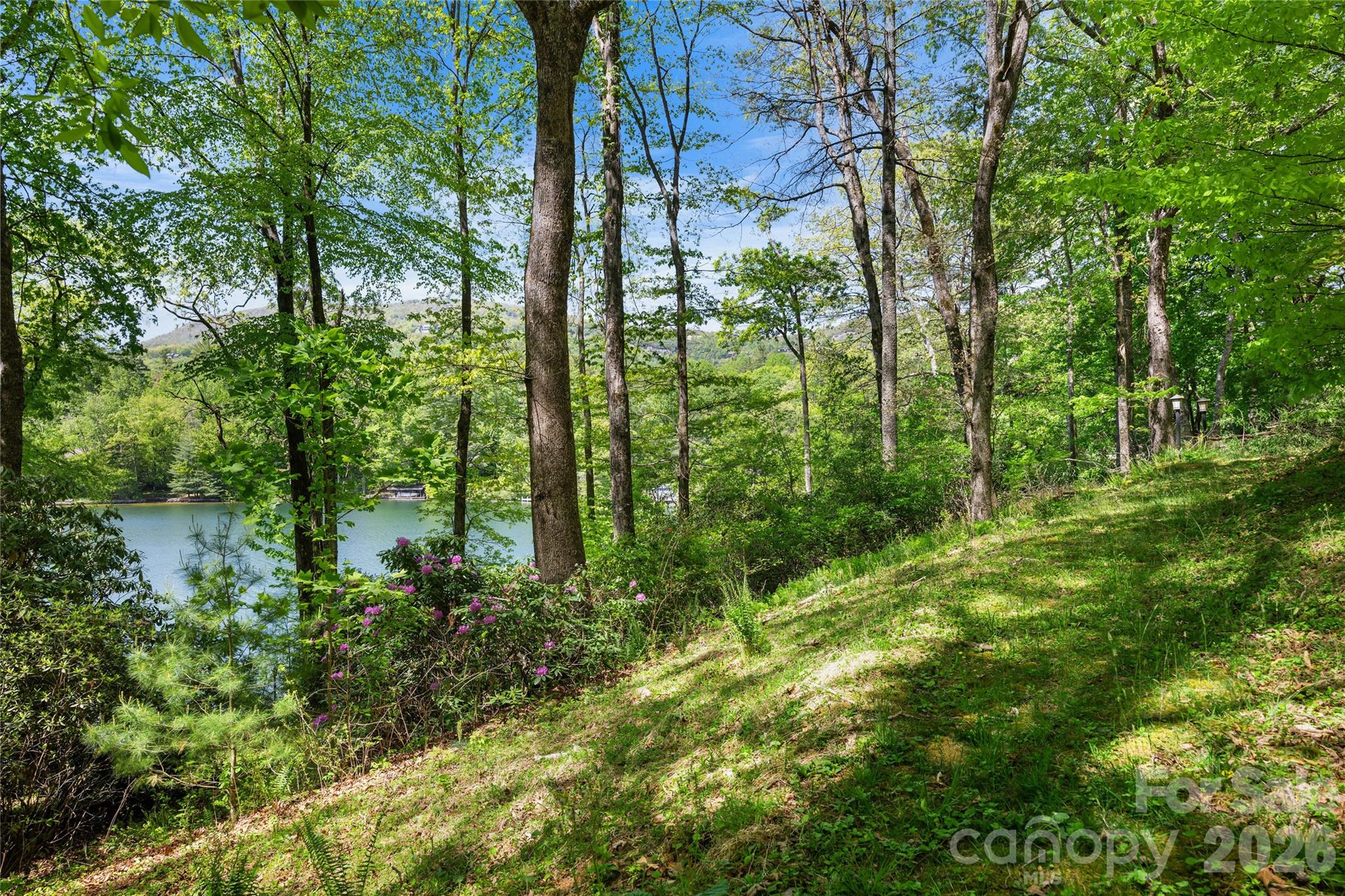 1923 Cold Mountain Road Lake Toxaway NC 28747