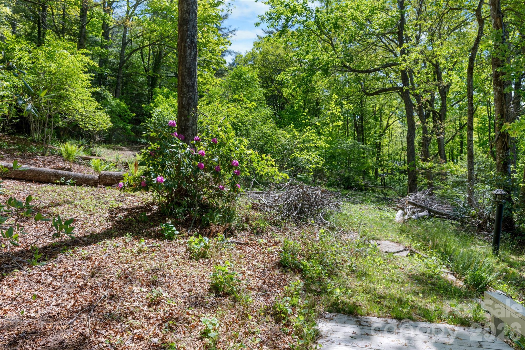 1923 Cold Mountain Road Lake Toxaway NC 28747