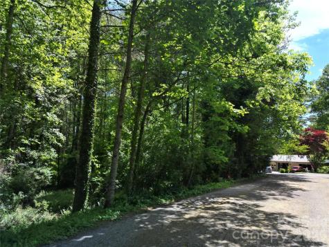 225 Country Lane Brevard NC 28712