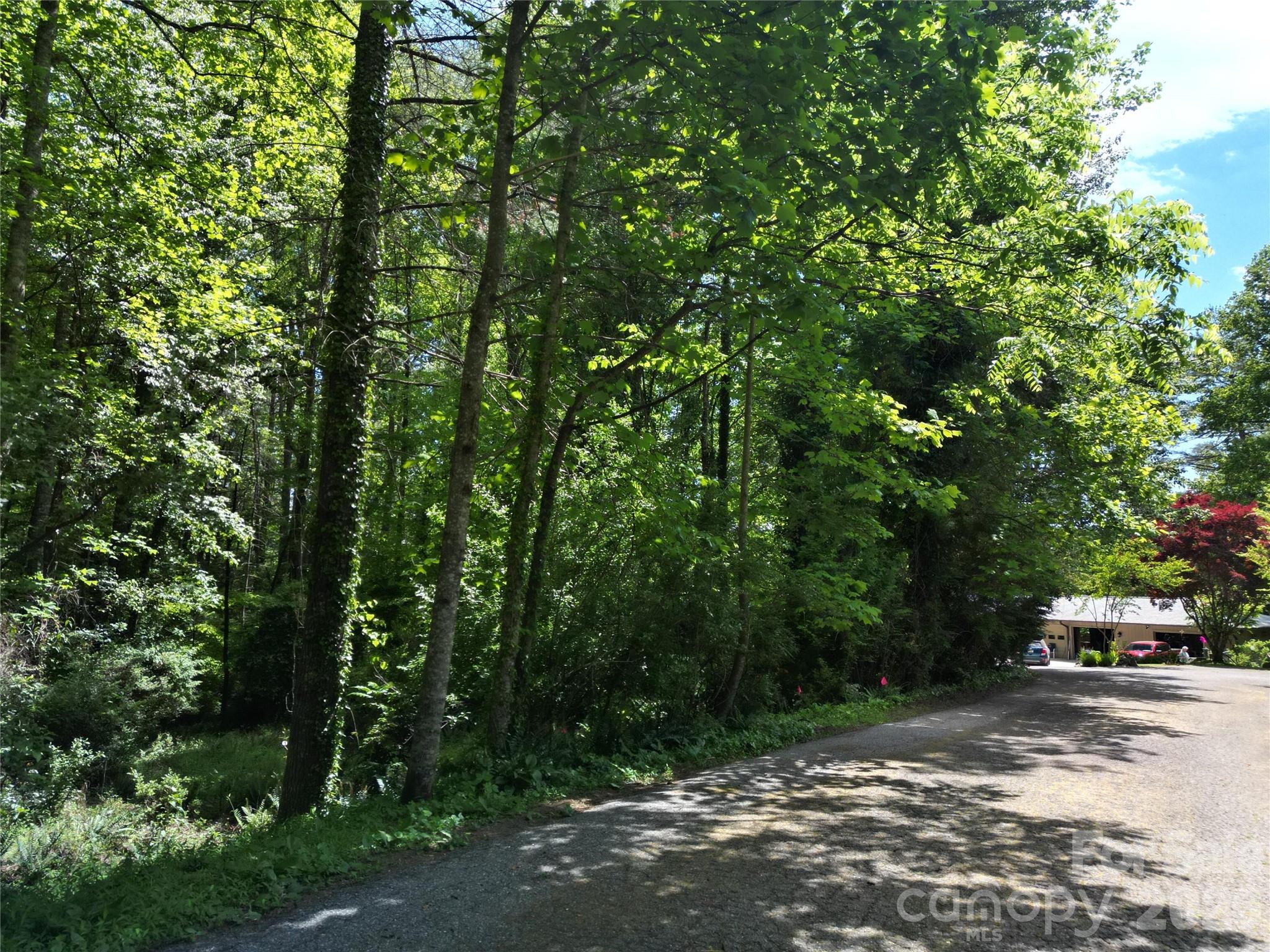 225 Country Lane Brevard NC 28712