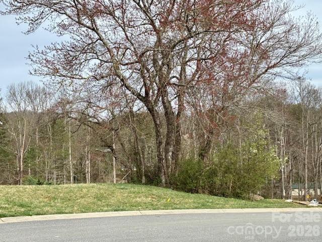 156 Triple Fairways Drive Hendersonville NC 28739