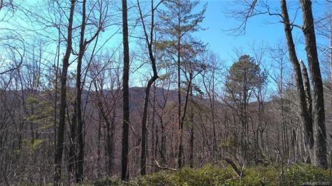#25 Crooked Creek Estates Drive Old Fort NC 28762