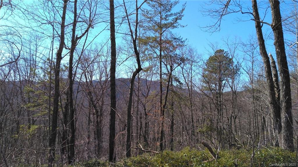 #25 Crooked Creek Estates Drive Old Fort NC 28762