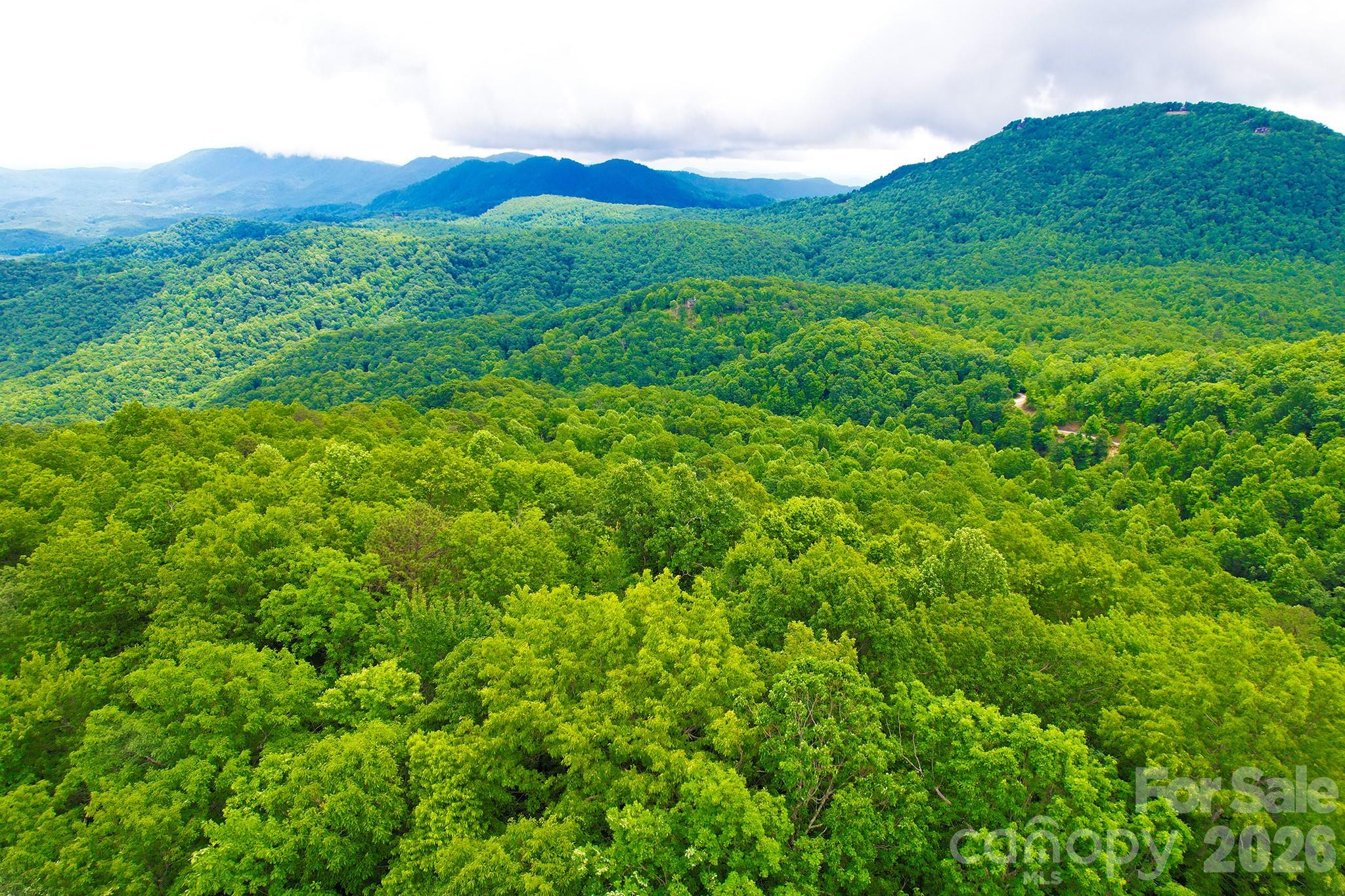 215 Laurel Mountain Trail Black Mountain NC 28711