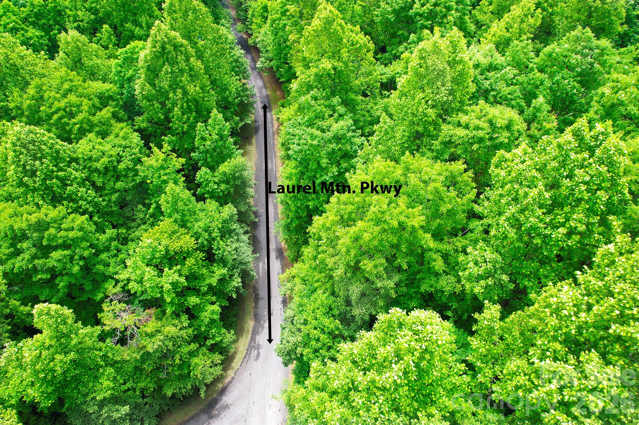 215 Laurel Mountain Trail Black Mountain NC 28711