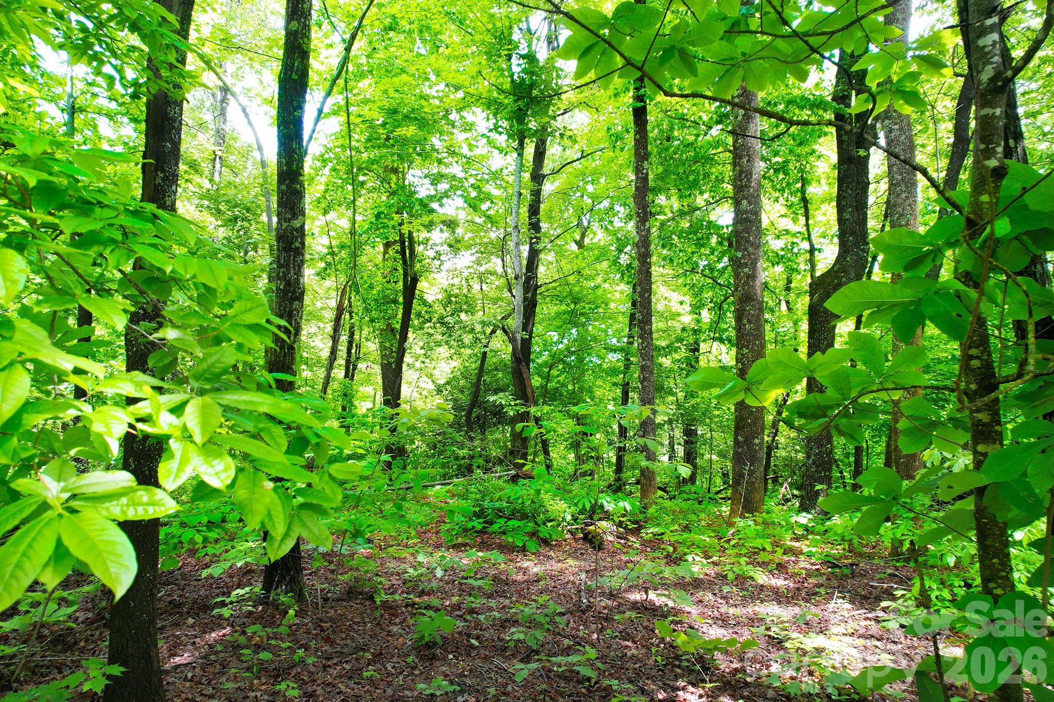 215 Laurel Mountain Trail Black Mountain NC 28711