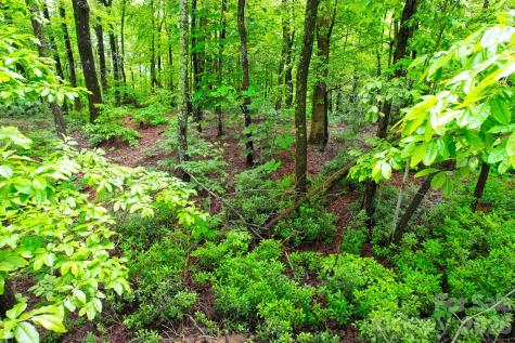 215 Laurel Mountain Trail Black Mountain NC 28711