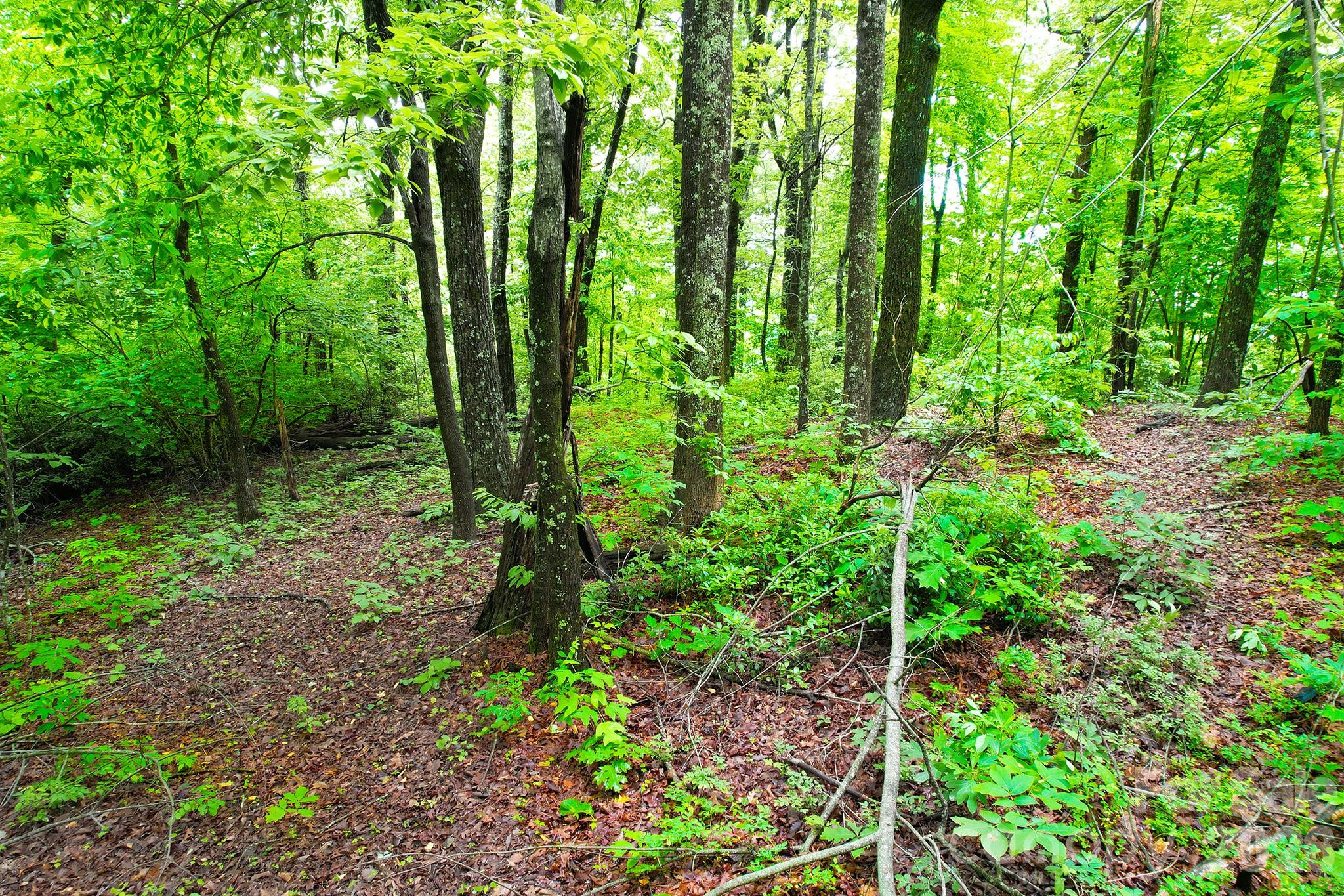 215 Laurel Mountain Trail Black Mountain NC 28711