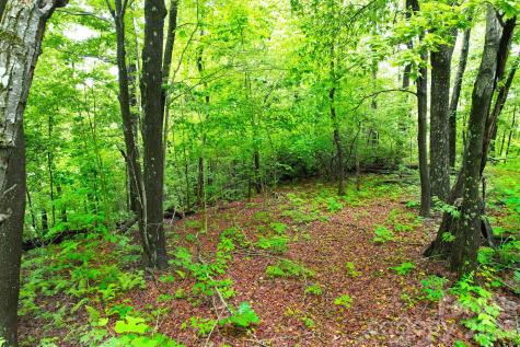 215 Laurel Mountain Trail Black Mountain NC 28711