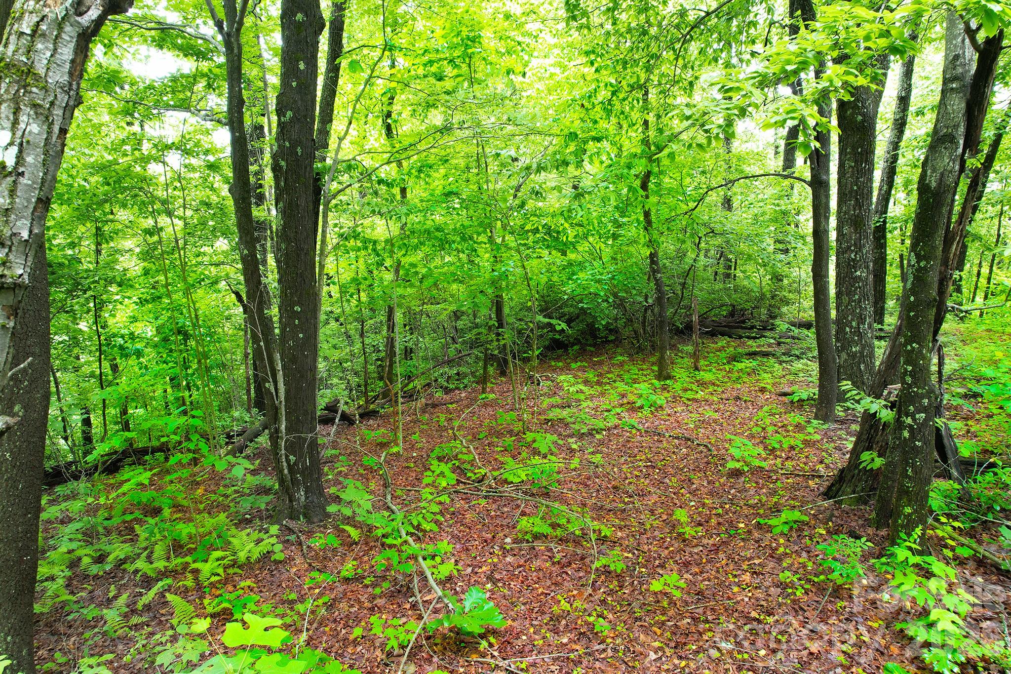 215 Laurel Mountain Trail Black Mountain NC 28711