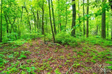 215 Laurel Mountain Trail Black Mountain NC 28711
