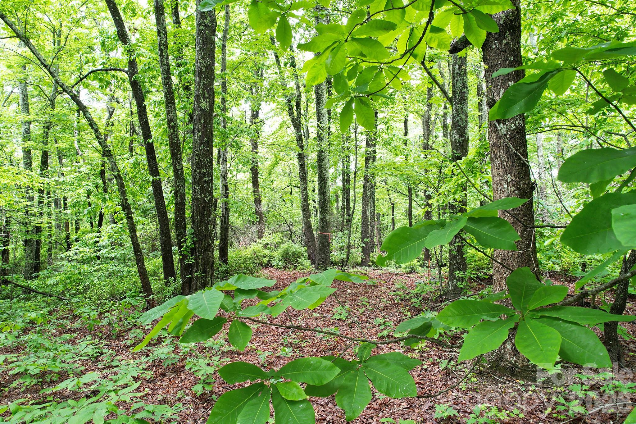 215 Laurel Mountain Trail Black Mountain NC 28711