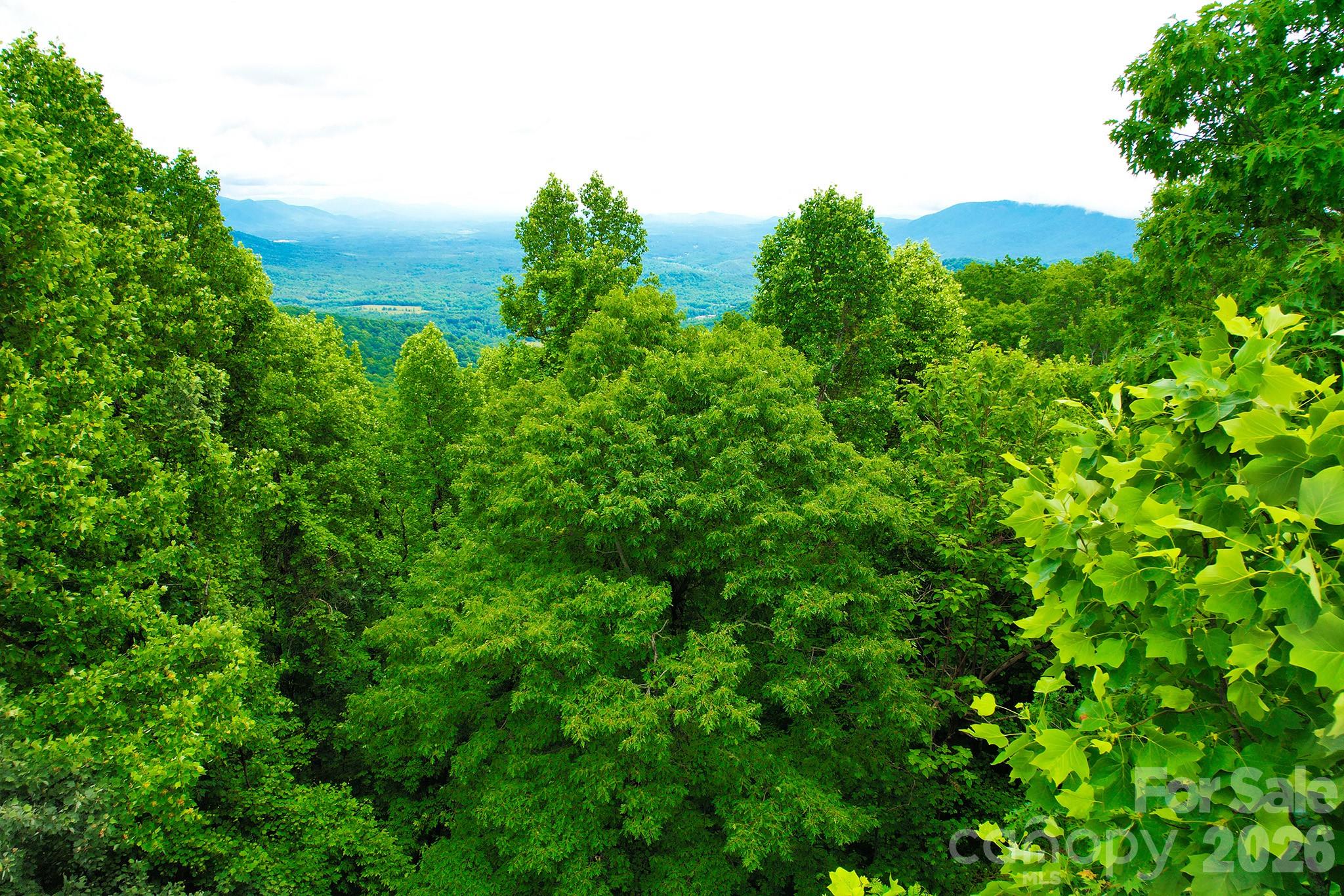 215 Laurel Mountain Trail Black Mountain NC 28711
