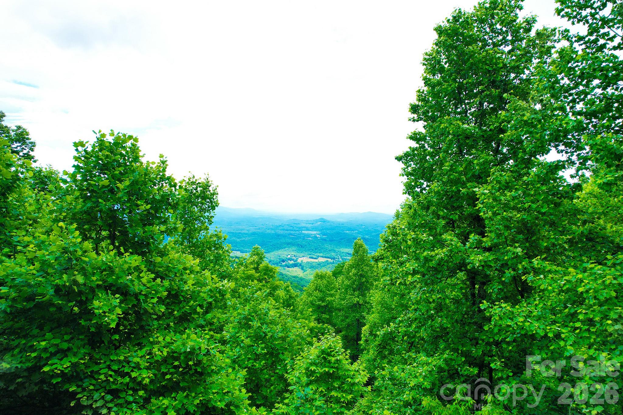 215 Laurel Mountain Trail Black Mountain NC 28711