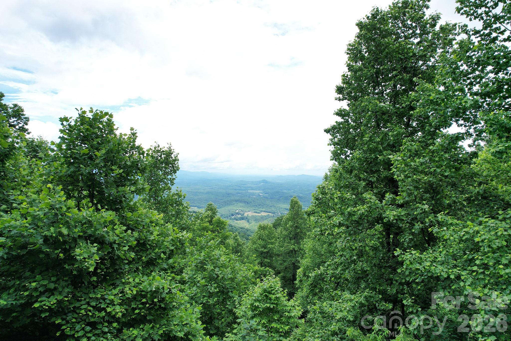 215 Laurel Mountain Trail Black Mountain NC 28711