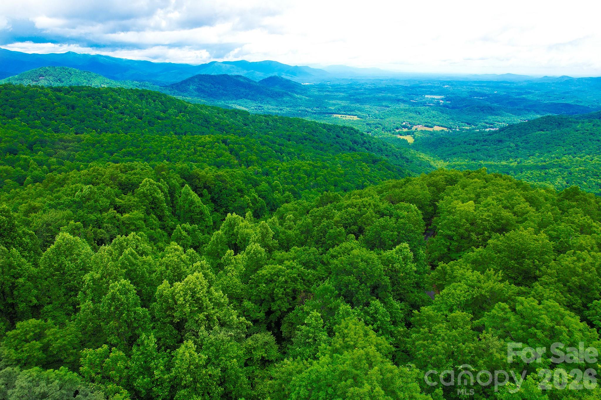 215 Laurel Mountain Trail Black Mountain NC 28711