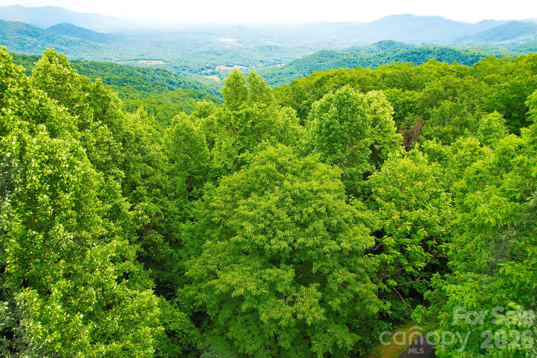 215 Laurel Mountain Trail Black Mountain NC 28711