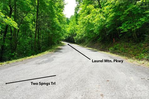 215 Laurel Mountain Trail Black Mountain NC 28711