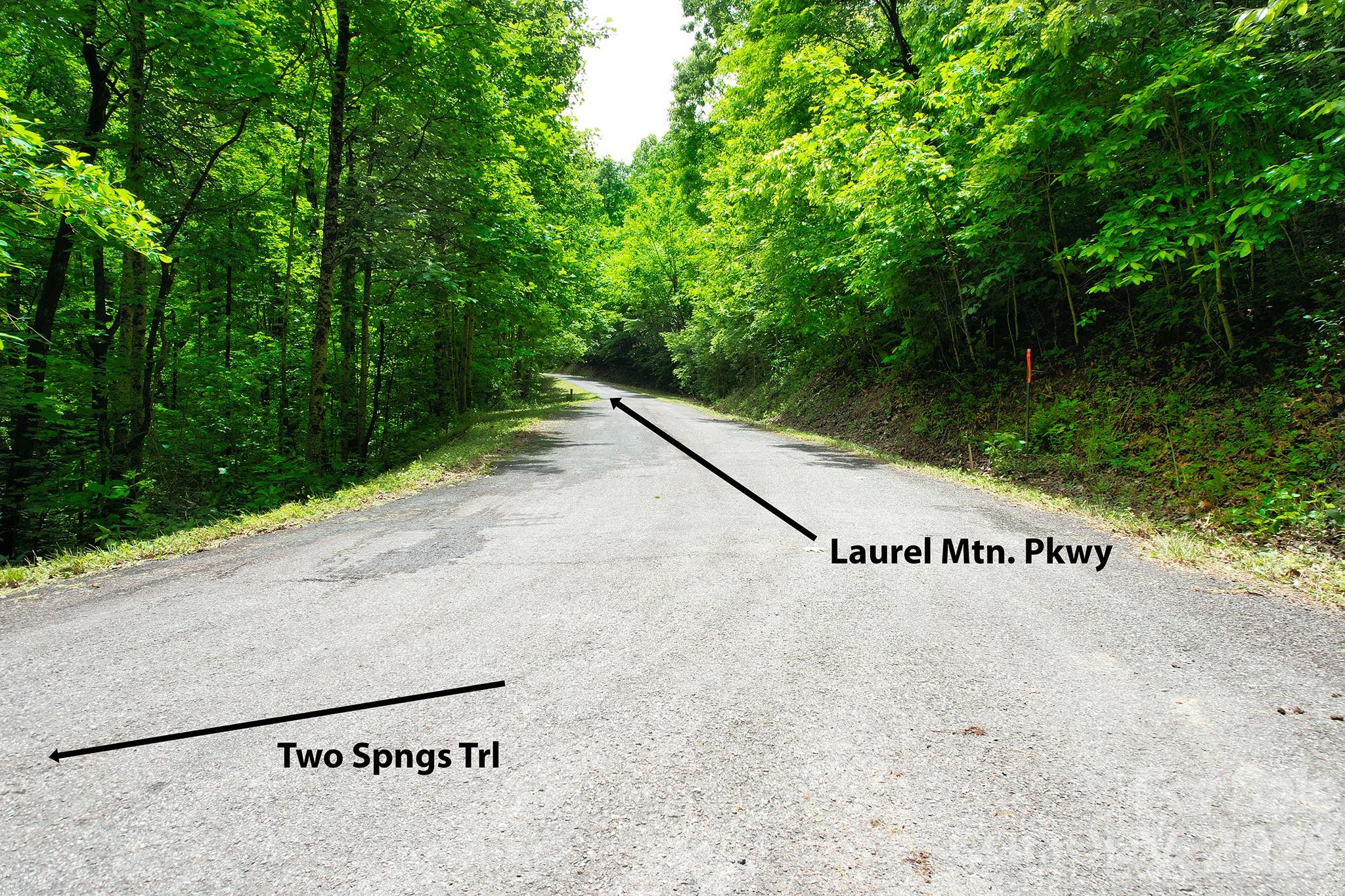 215 Laurel Mountain Trail Black Mountain NC 28711
