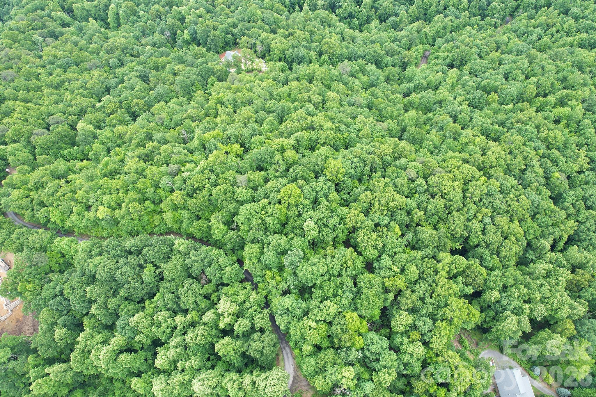 215 Laurel Mountain Trail Black Mountain NC 28711
