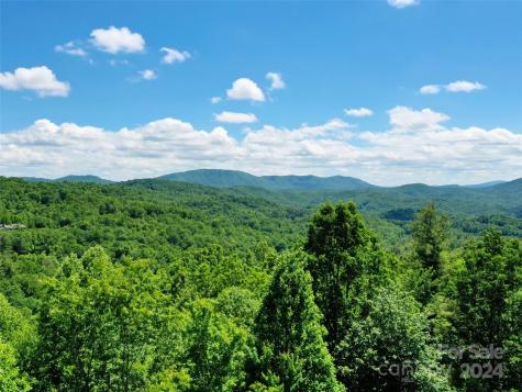 211 Bent Pine Trace Hendersonville NC 28739