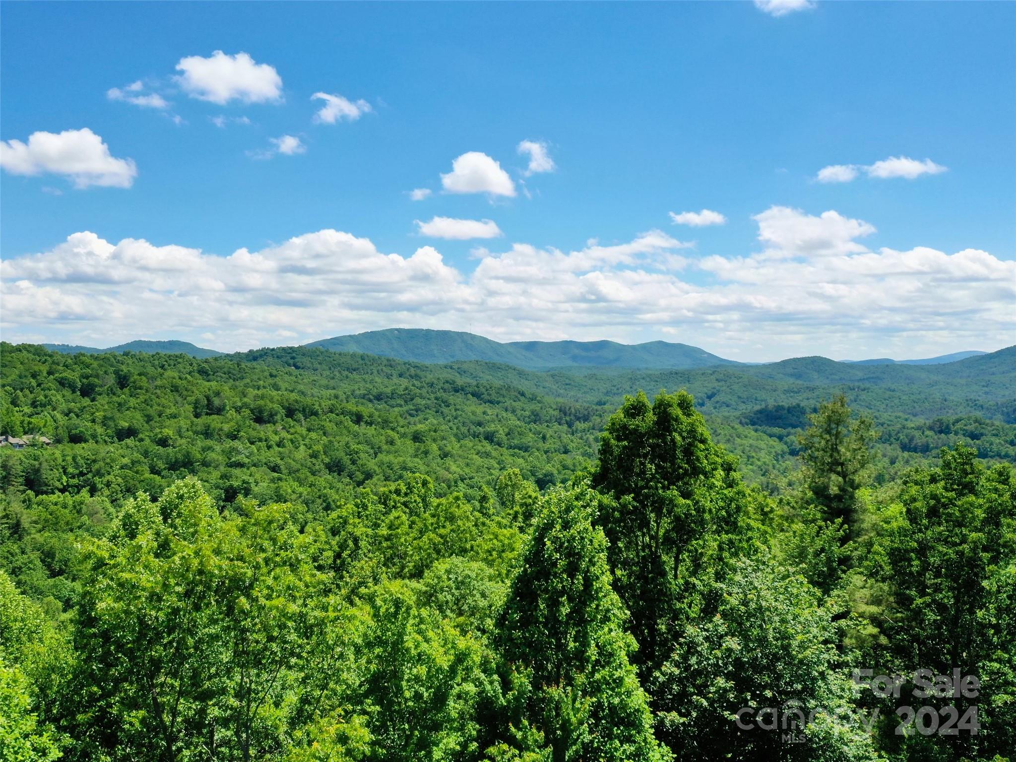 211 Bent Pine Trace Hendersonville NC 28739