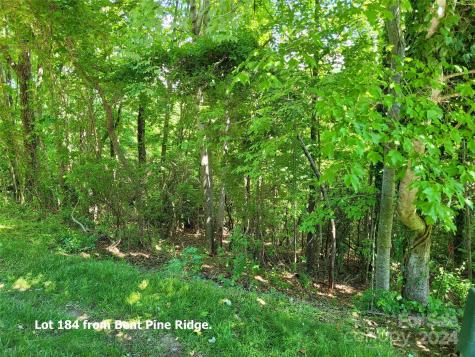 211 Bent Pine Trace Hendersonville NC 28739