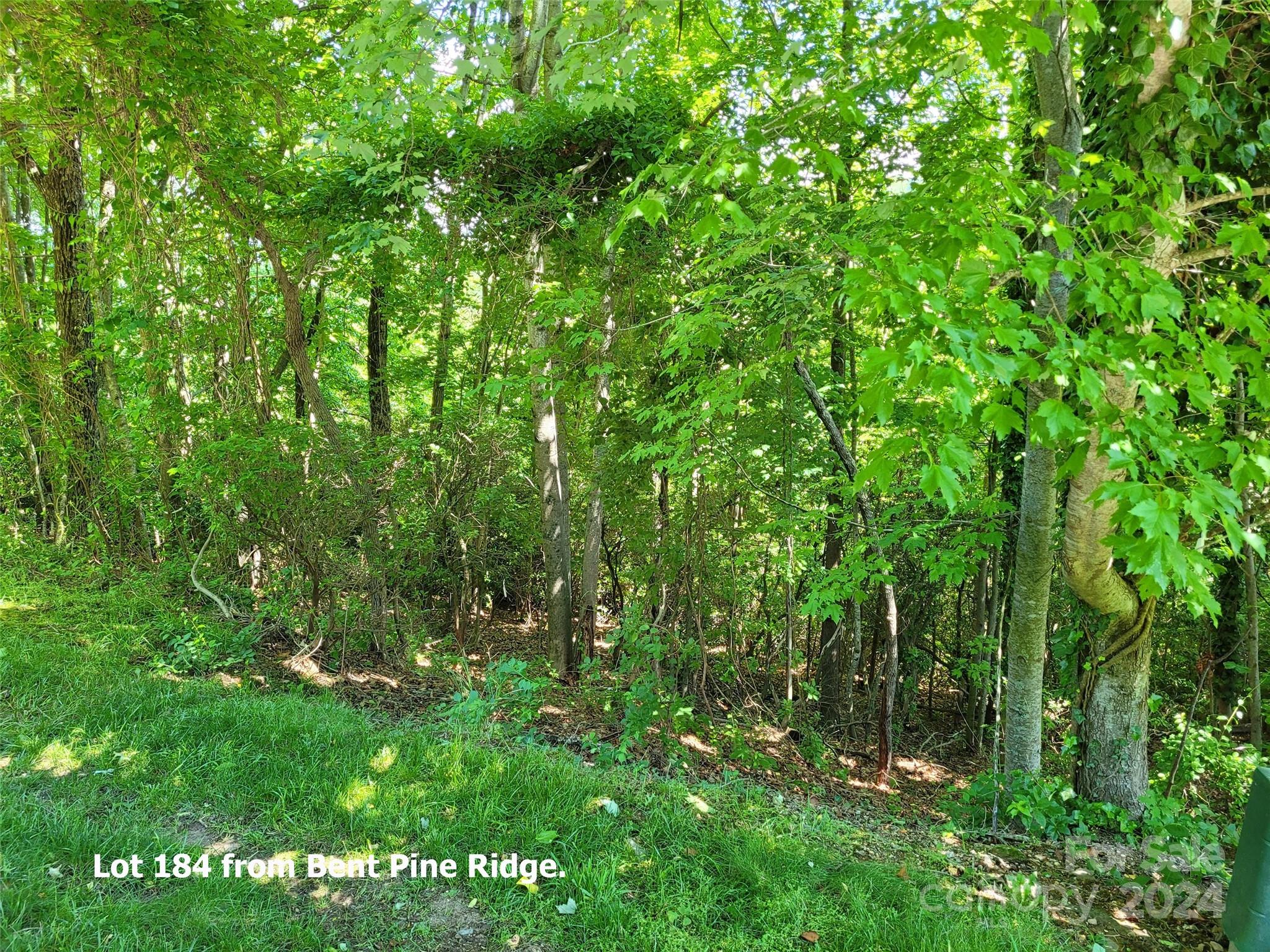 211 Bent Pine Trace Hendersonville NC 28739