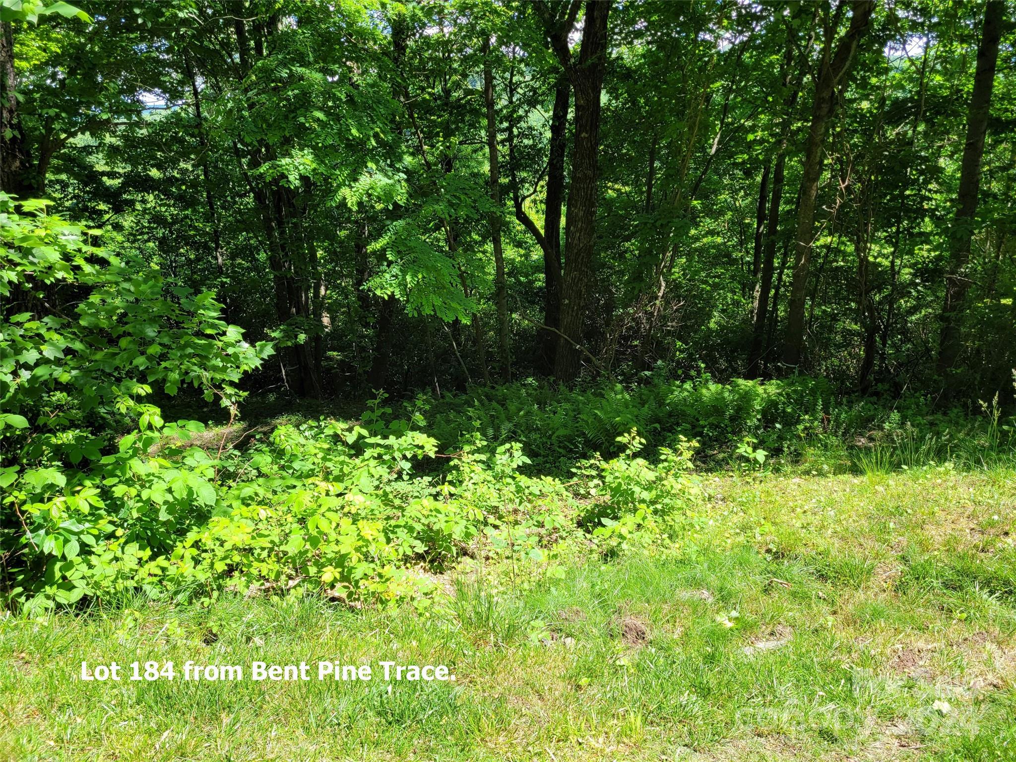 211 Bent Pine Trace Hendersonville NC 28739