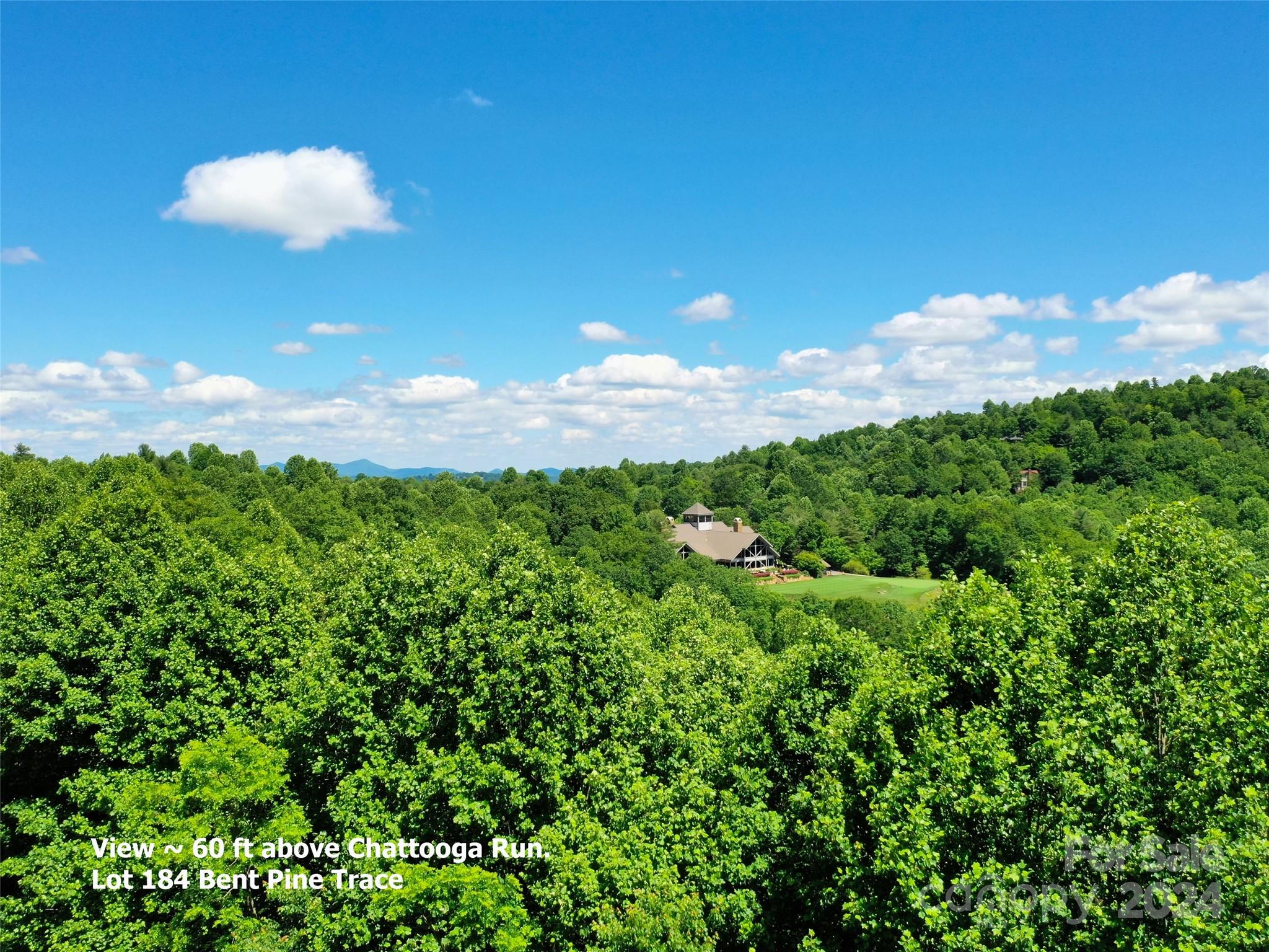 211 Bent Pine Trace Hendersonville NC 28739