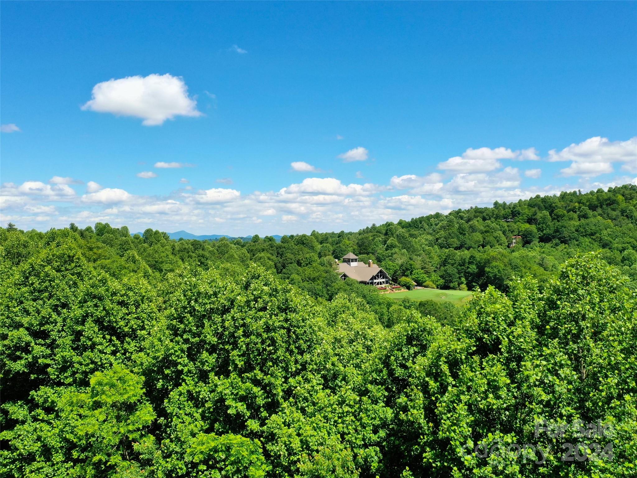 211 Bent Pine Trace Hendersonville NC 28739