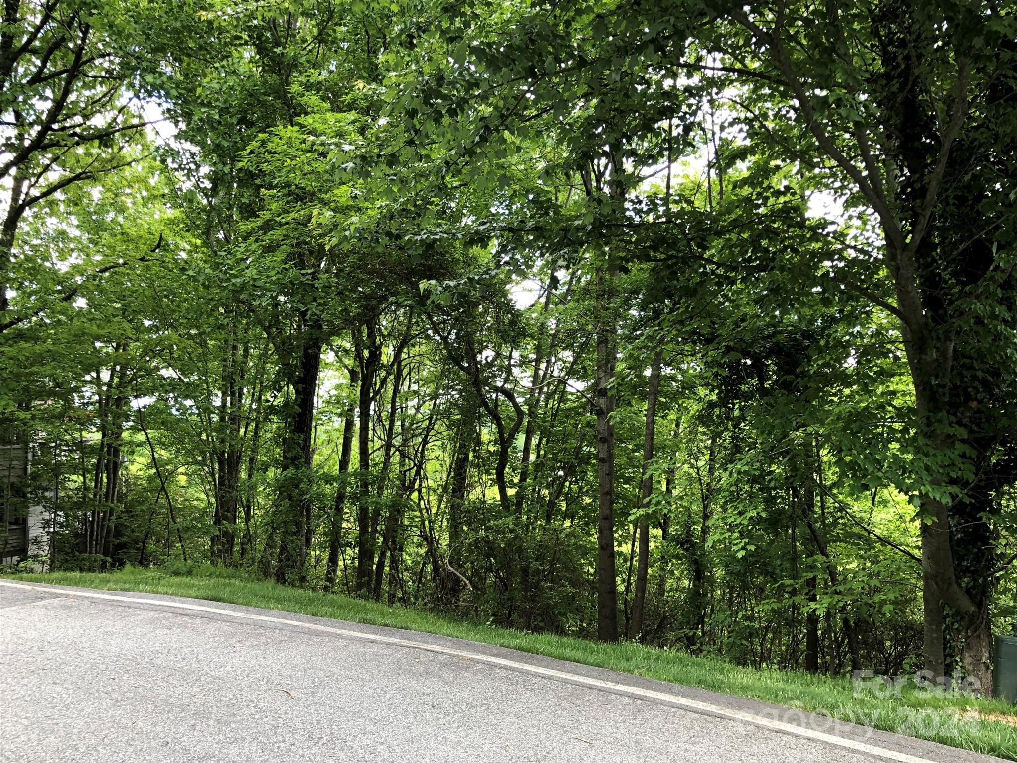 211 Bent Pine Trace Hendersonville NC 28739